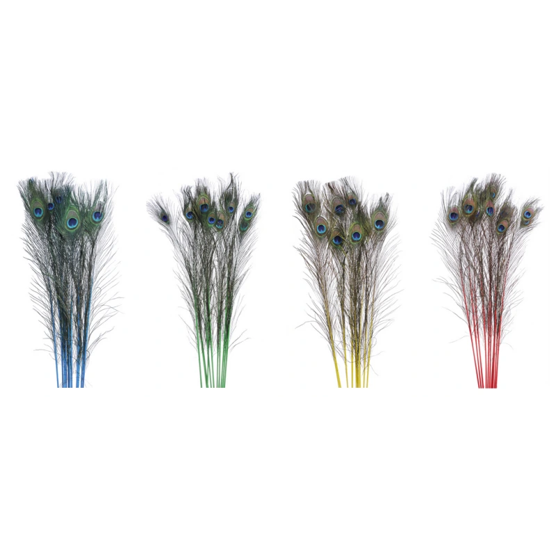 Povo plunksna, 80 - 100 cm