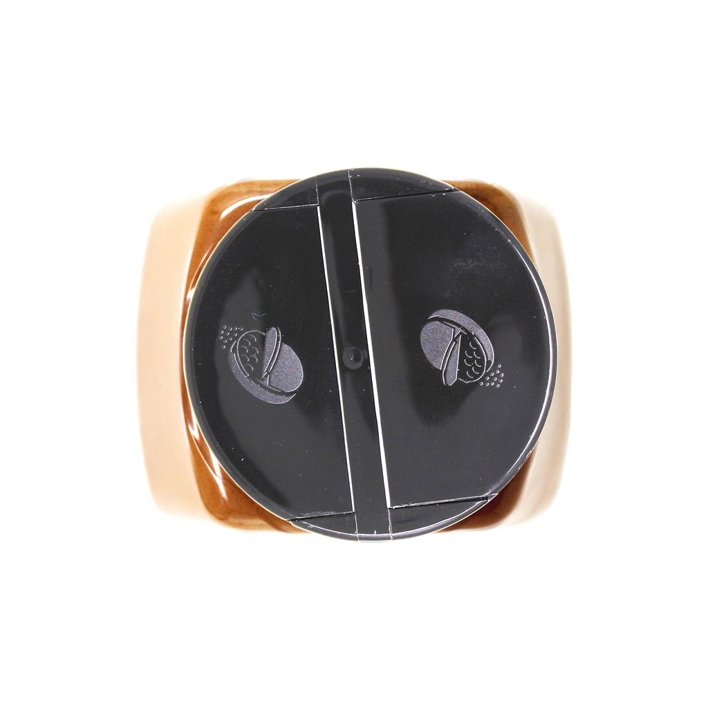 Badia Canela en Polvo 453.6 g / 16 oz