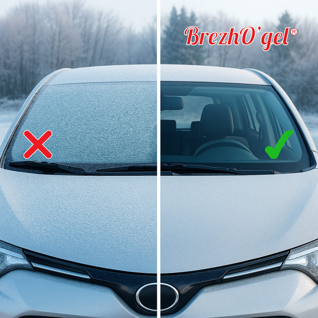 Brezhogel® Antigivre pour pare-brise ❄️