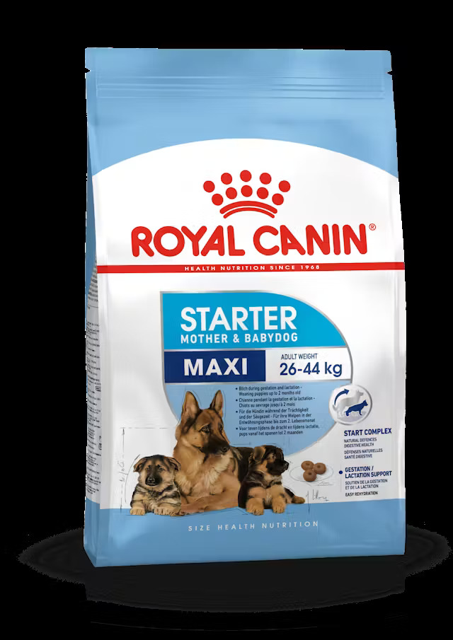 Royal Canin Starter Maxi