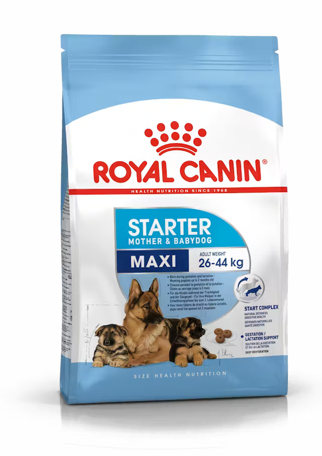 Royal Canin Starter Maxi Mother & Babydog