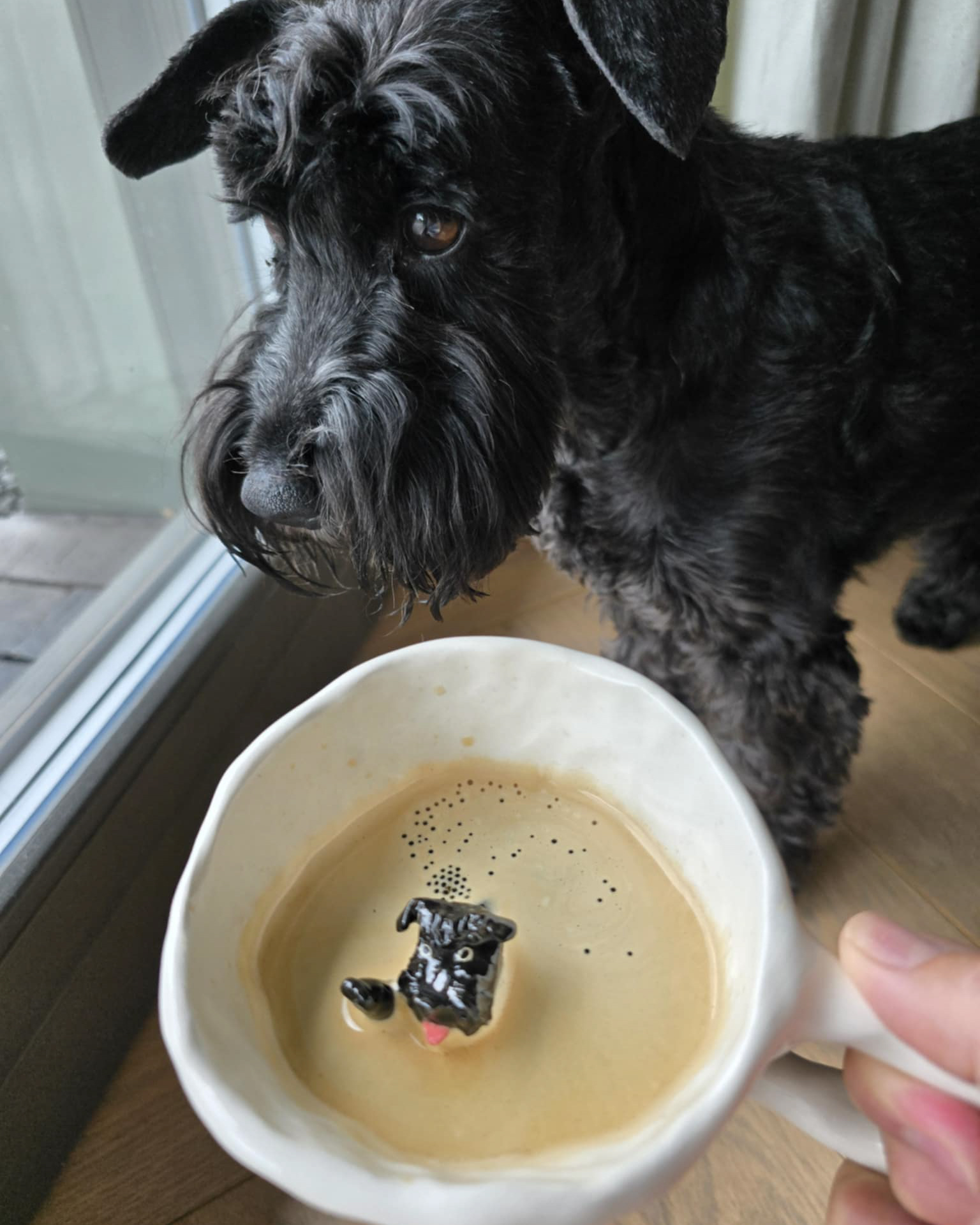 Mug with Your Cutest Pet