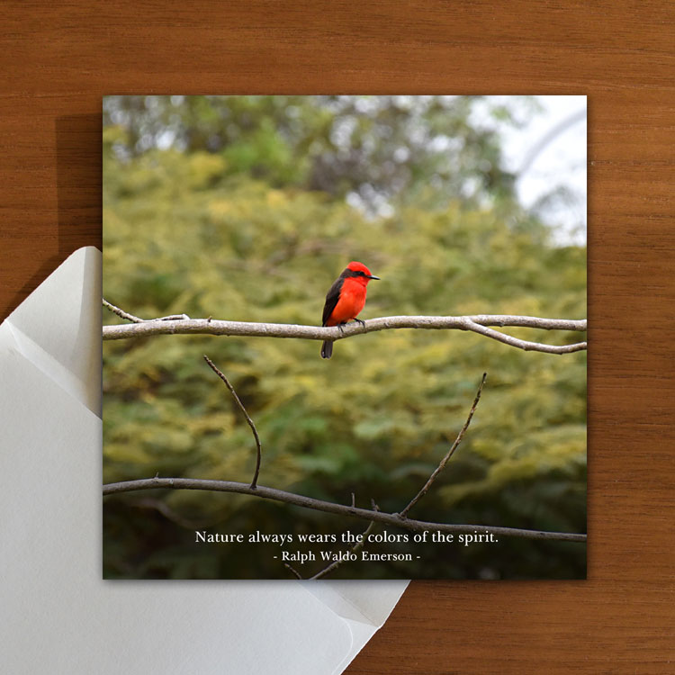 Colours of the Spirit