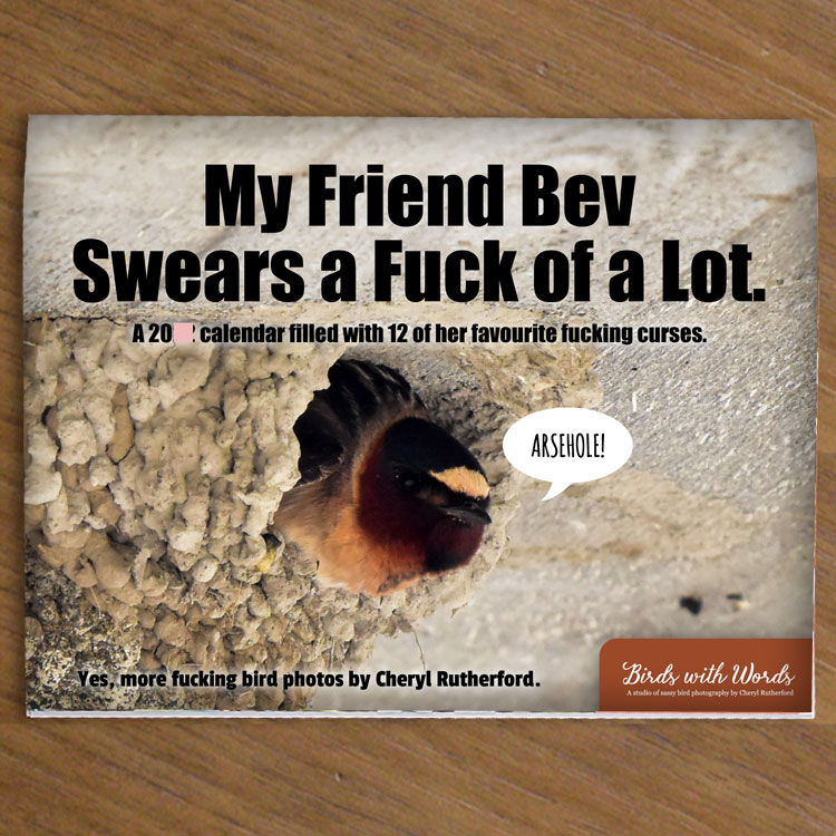 Swear Birds #4 Newfie