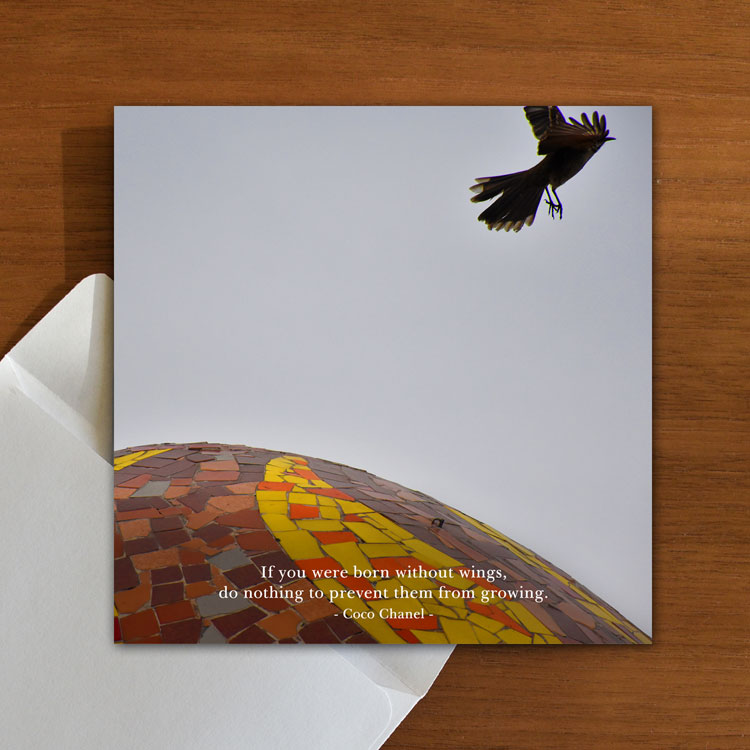 Your Wings Will Grow