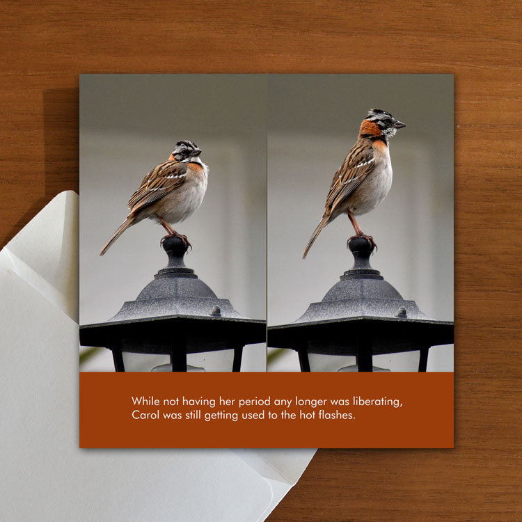 Carol’s Hot Flashes