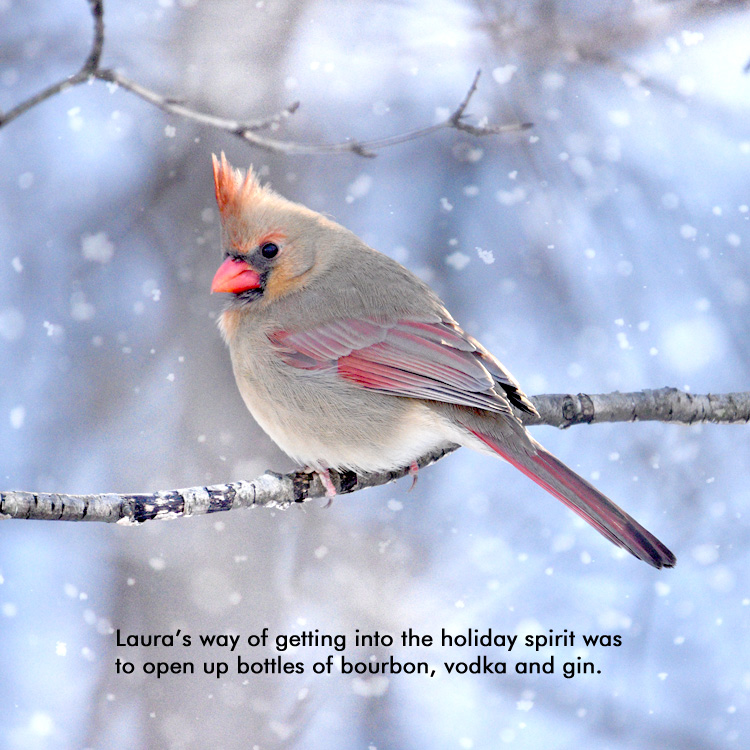 Laura's Holiday Spirit