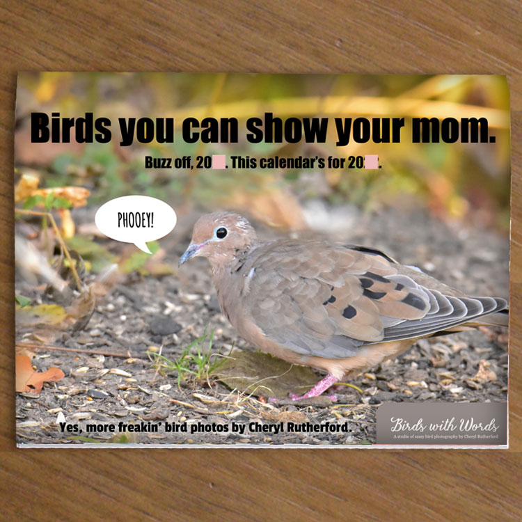 Mom Birds #1