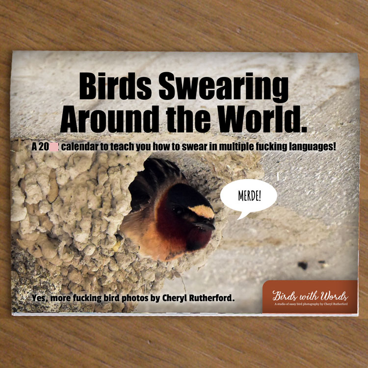 Swear Birds #5 World