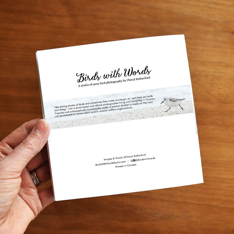 Ain’t Your First Rodeo