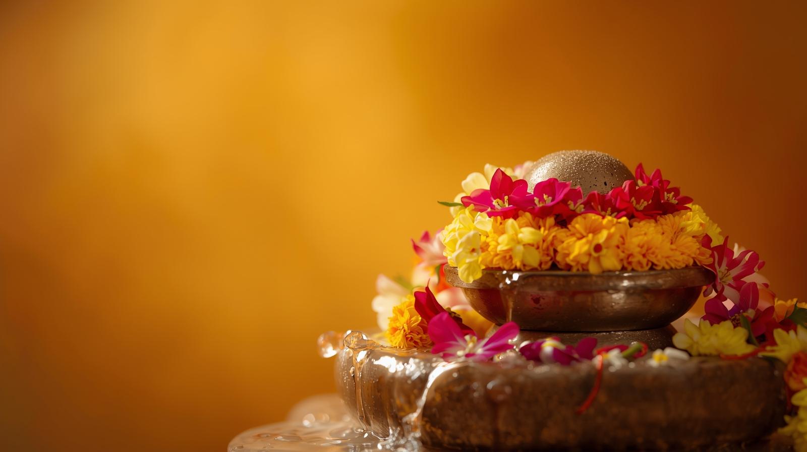 Donation for Rudra Abhishekha