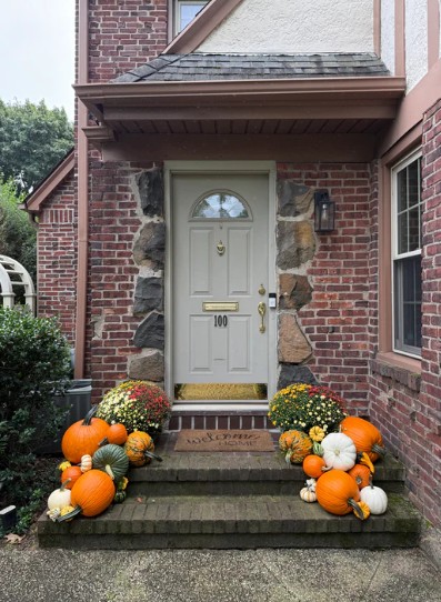 Petite Pumpkin Package