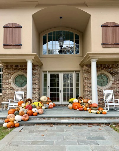 Premium Pumpkin Package