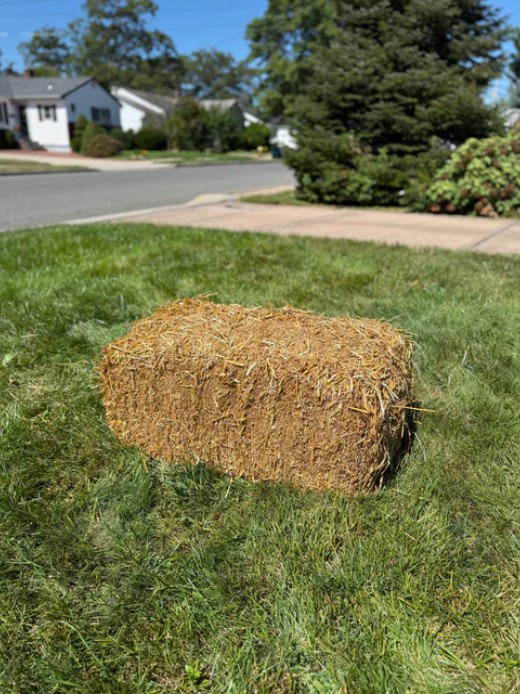 Hay Bale