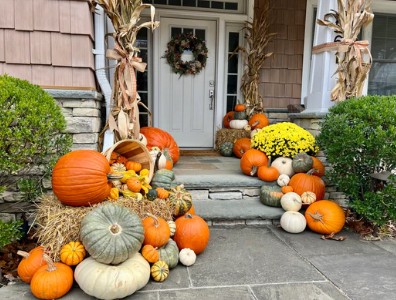 Large Pumpkin Package