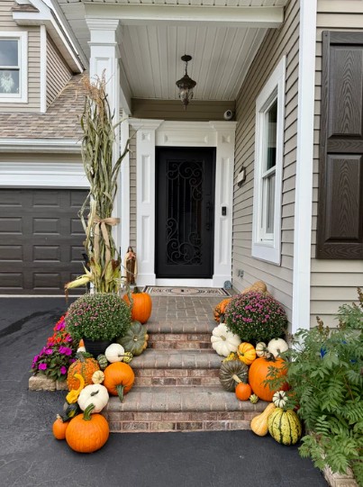 Petite Pumpkin Package