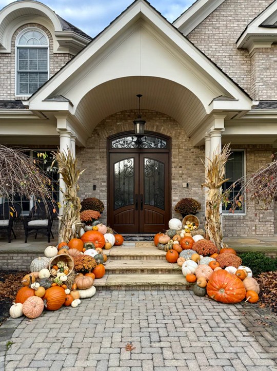 Premium Pumpkin Package