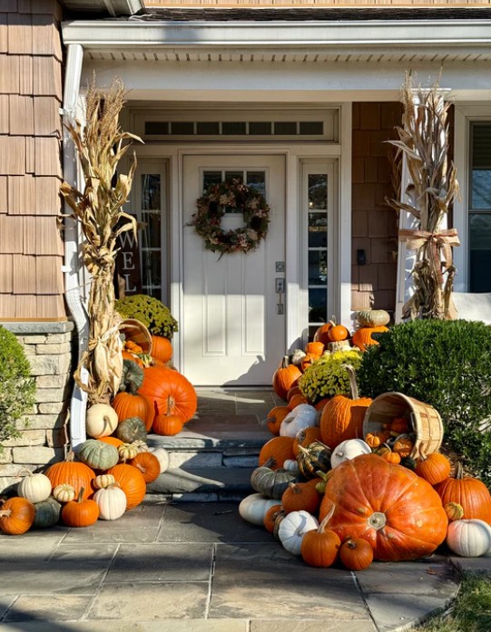 Premium Pumpkin Package