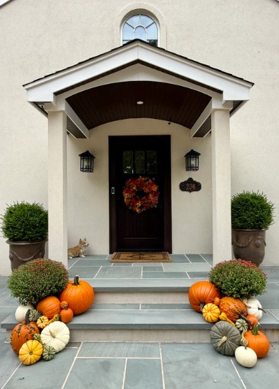 Petite Pumpkin Package