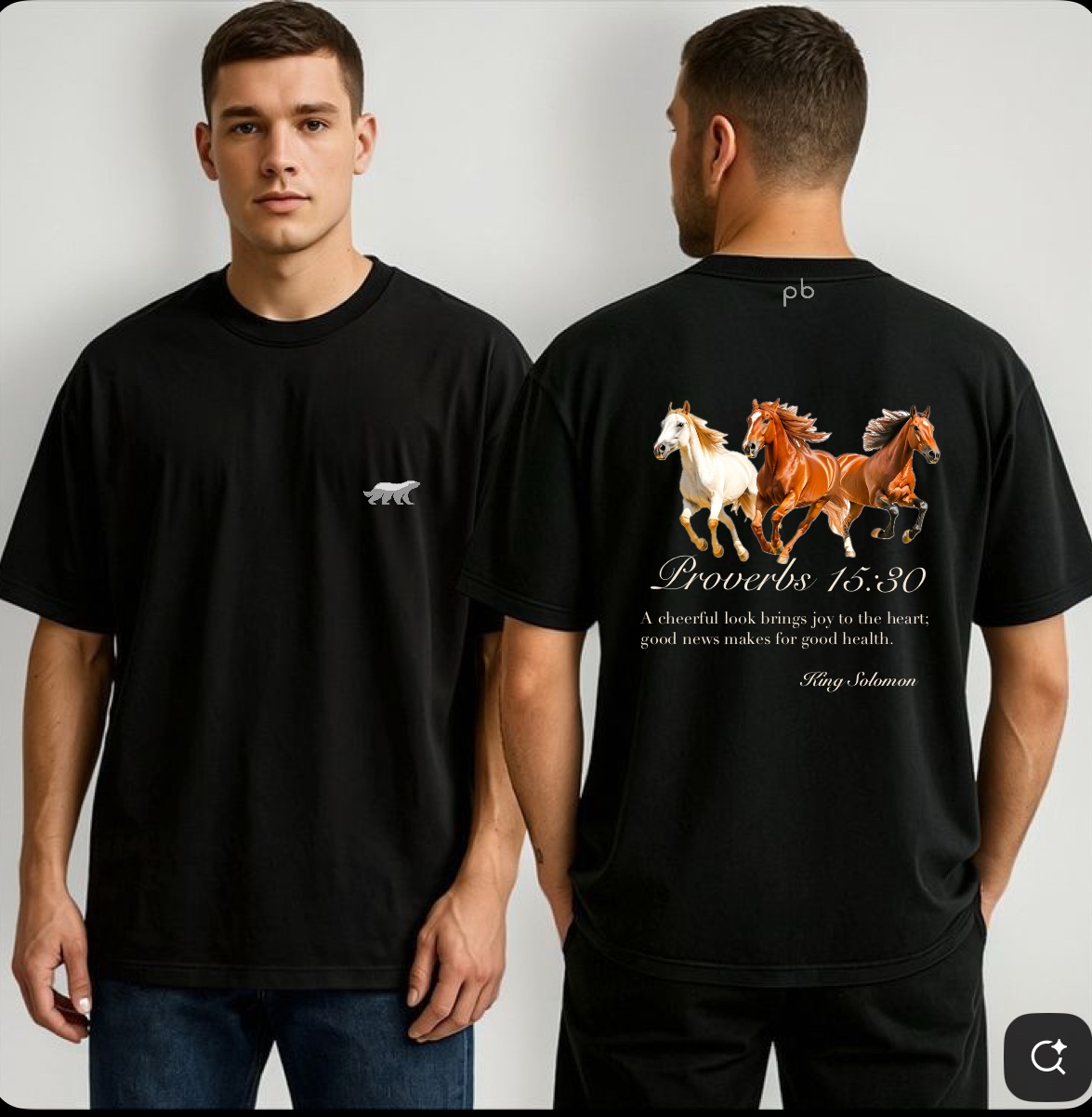 Proverbs Premium T-shirt 