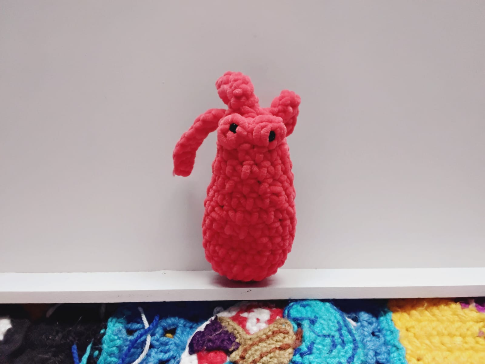 Kala y Mare los calamares