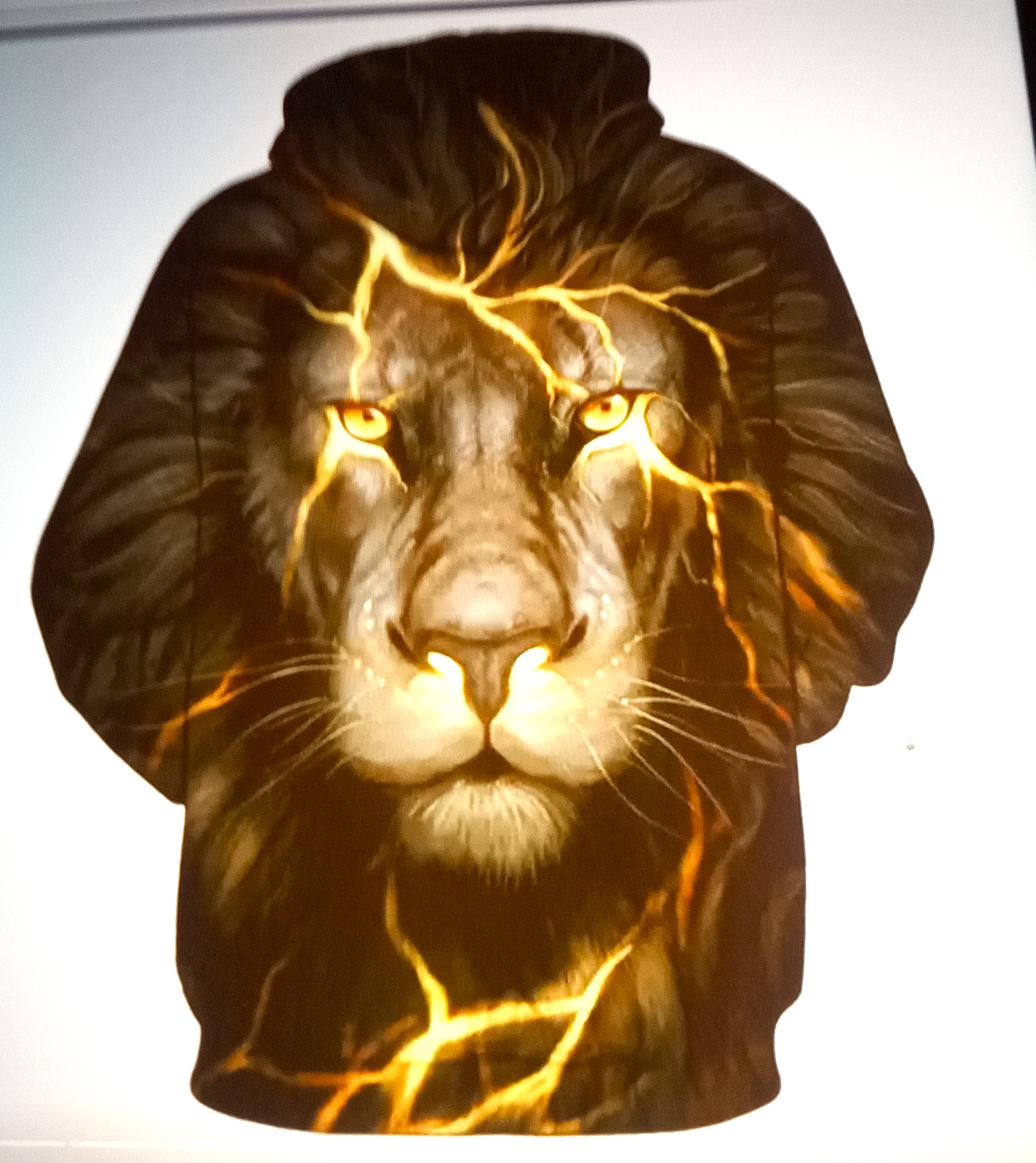 Lion Lightning Hoodie