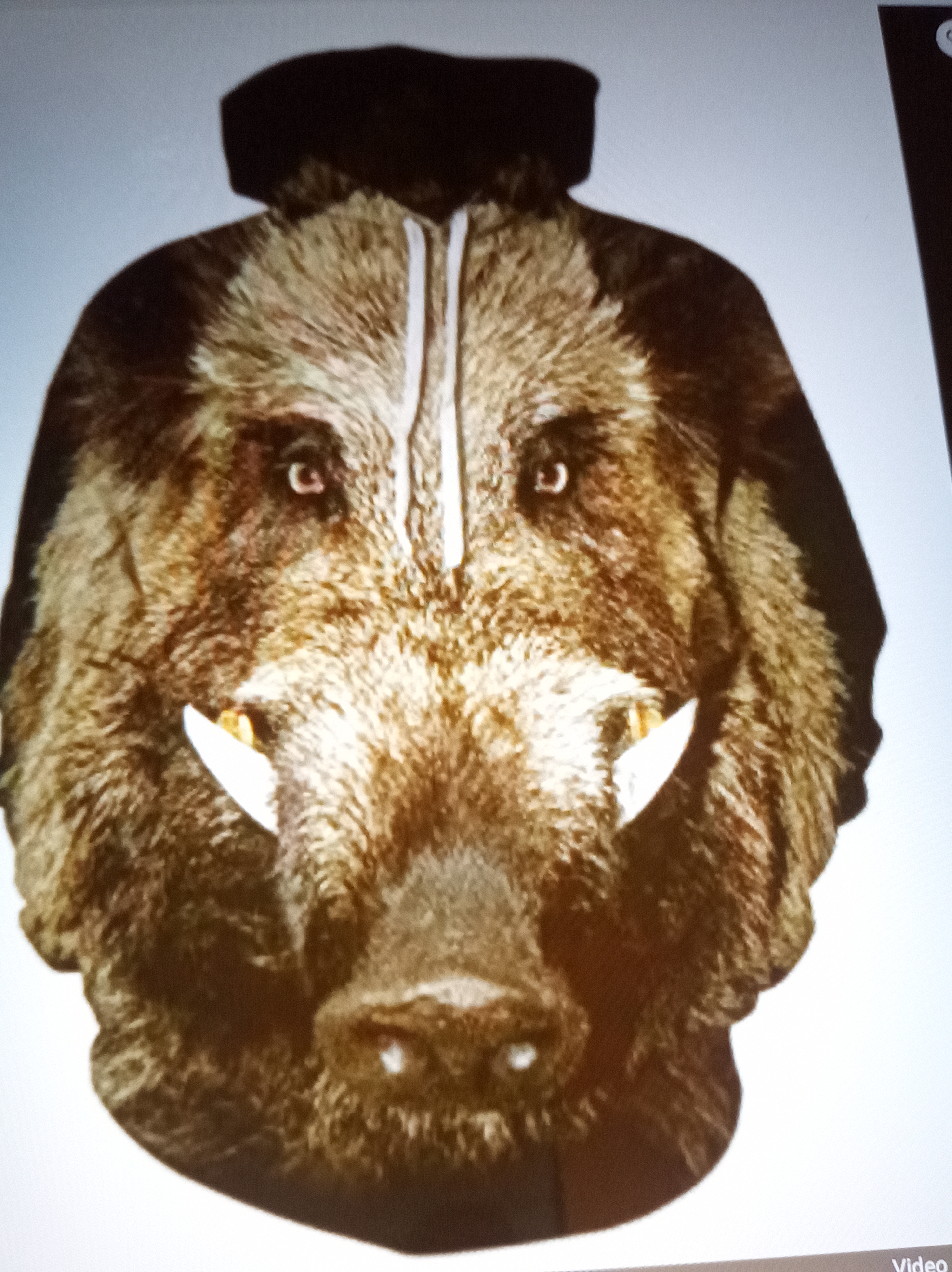 Wild Boar Print Hoodie