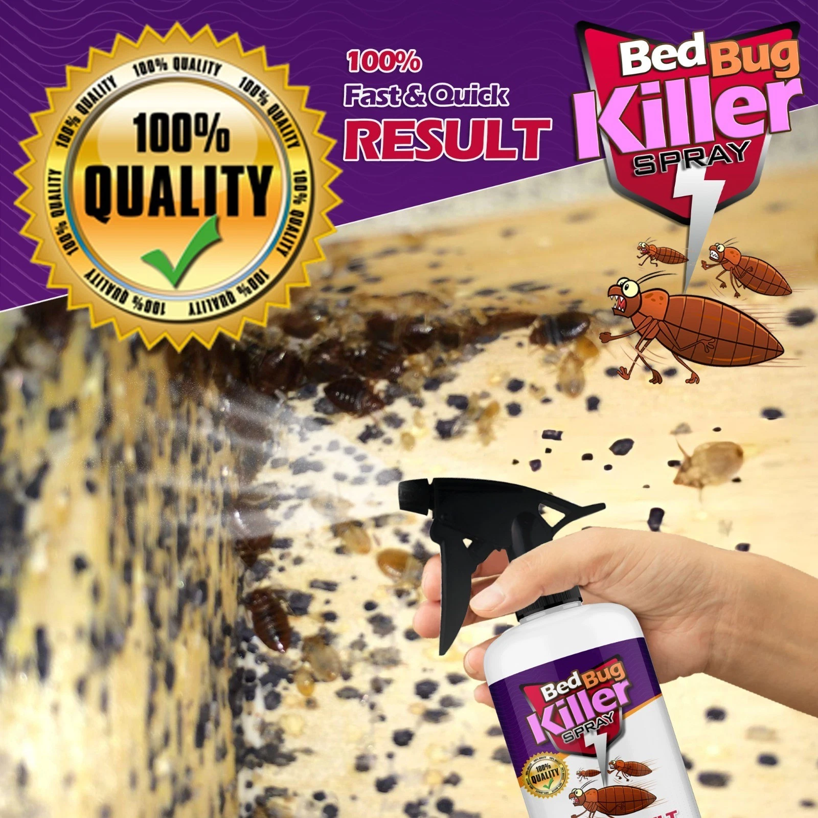 Bed Bug Killer Spray Non-Staining Carpet Mattress 24hr Treatment UK