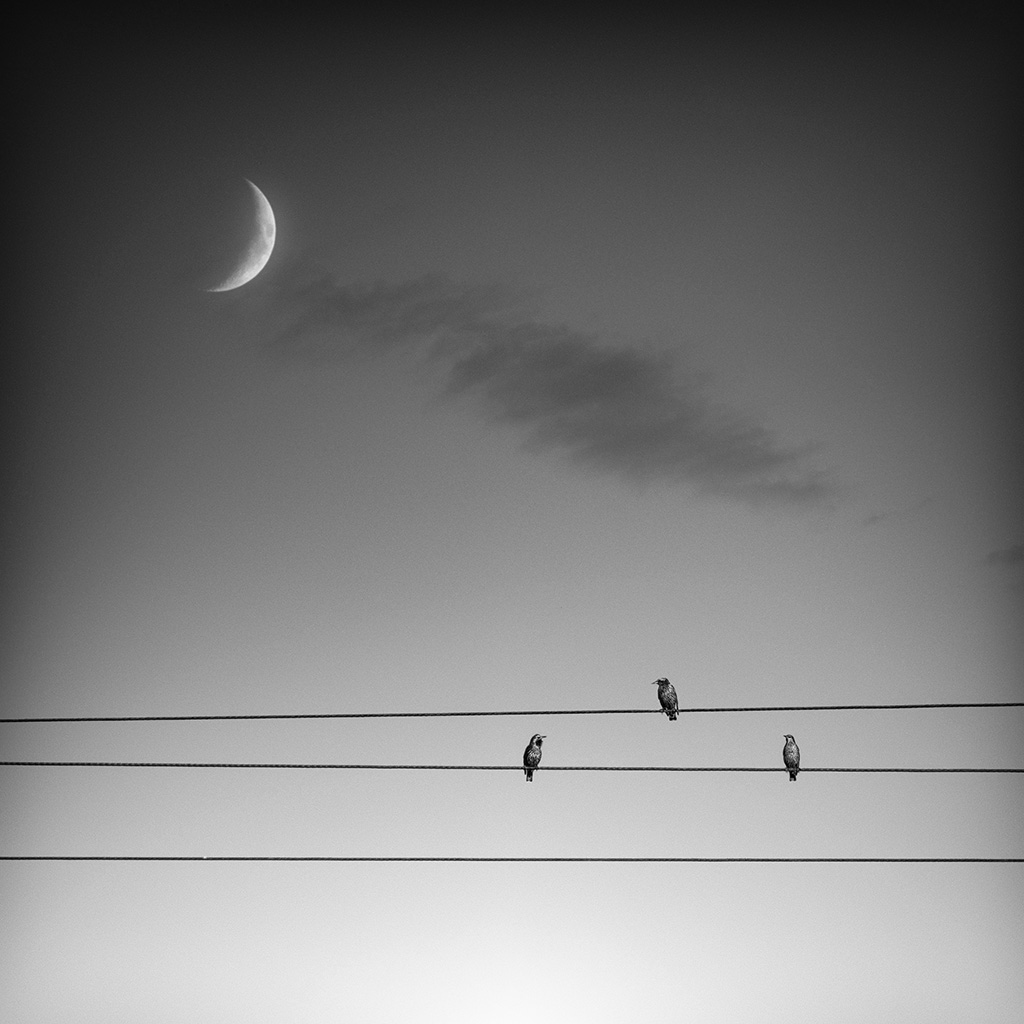 Sonate pour la Lune - Impression à la demande