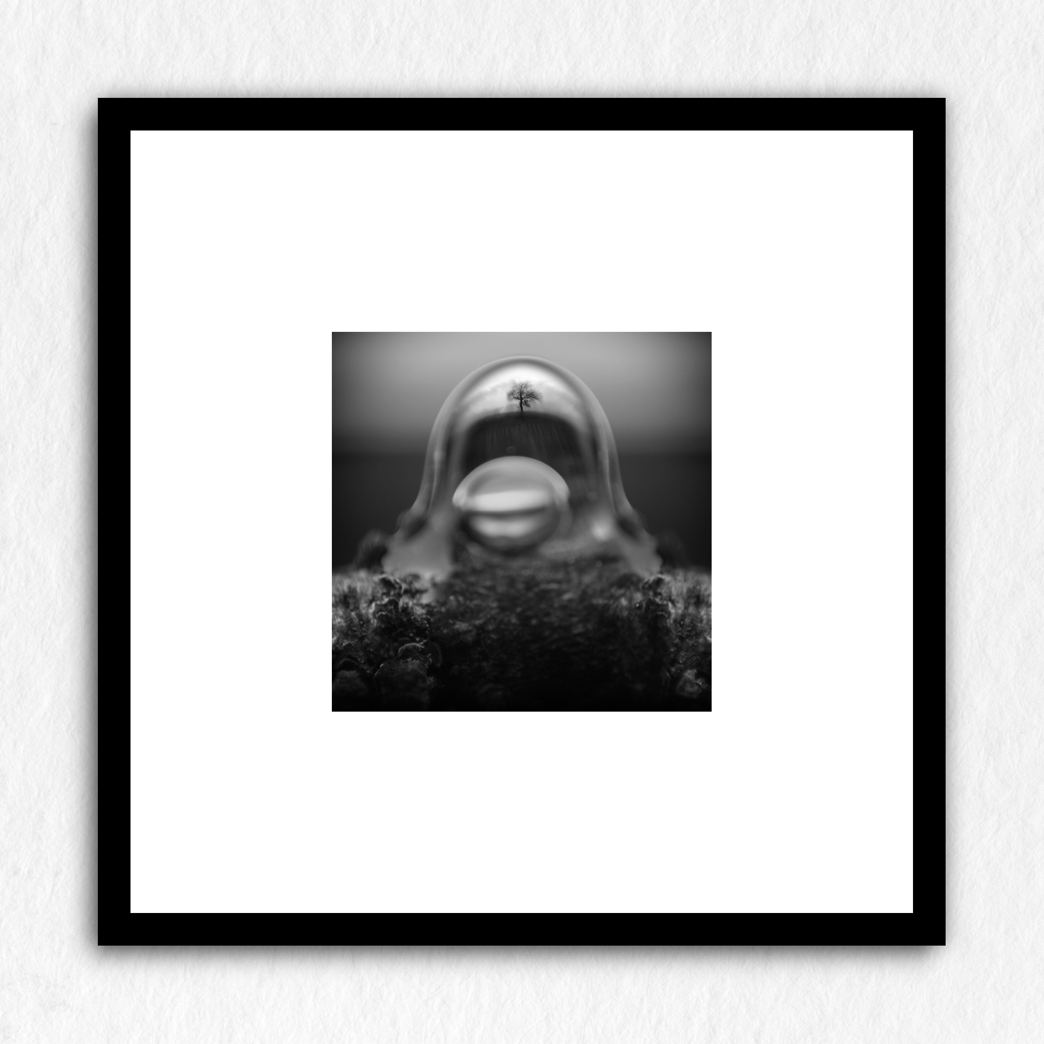 L'arbre à l'envers - Impression à la demande