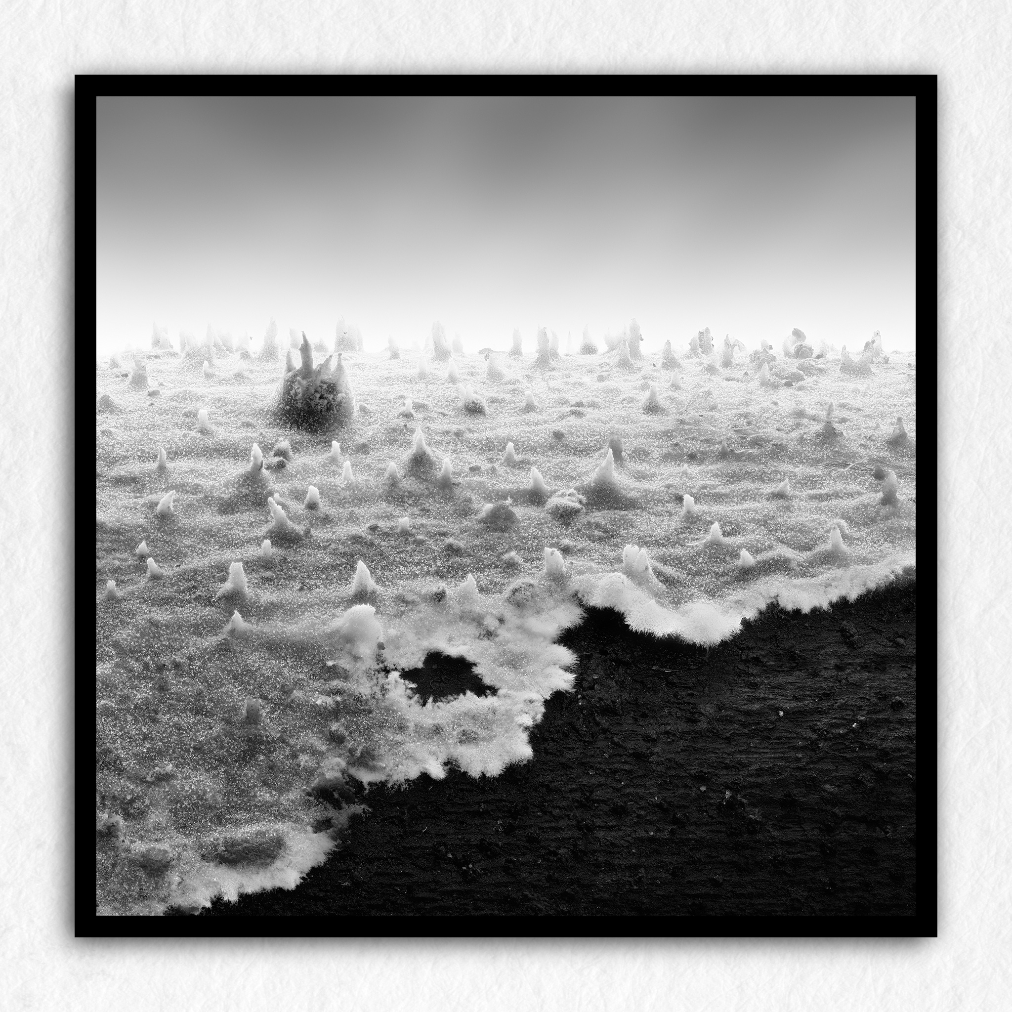 Nausicaä Memories 01 - Impression à la demande