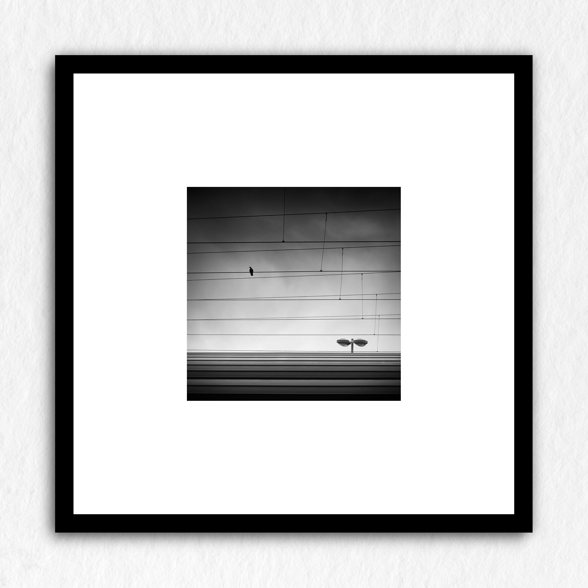 La cage - Impression à la demande