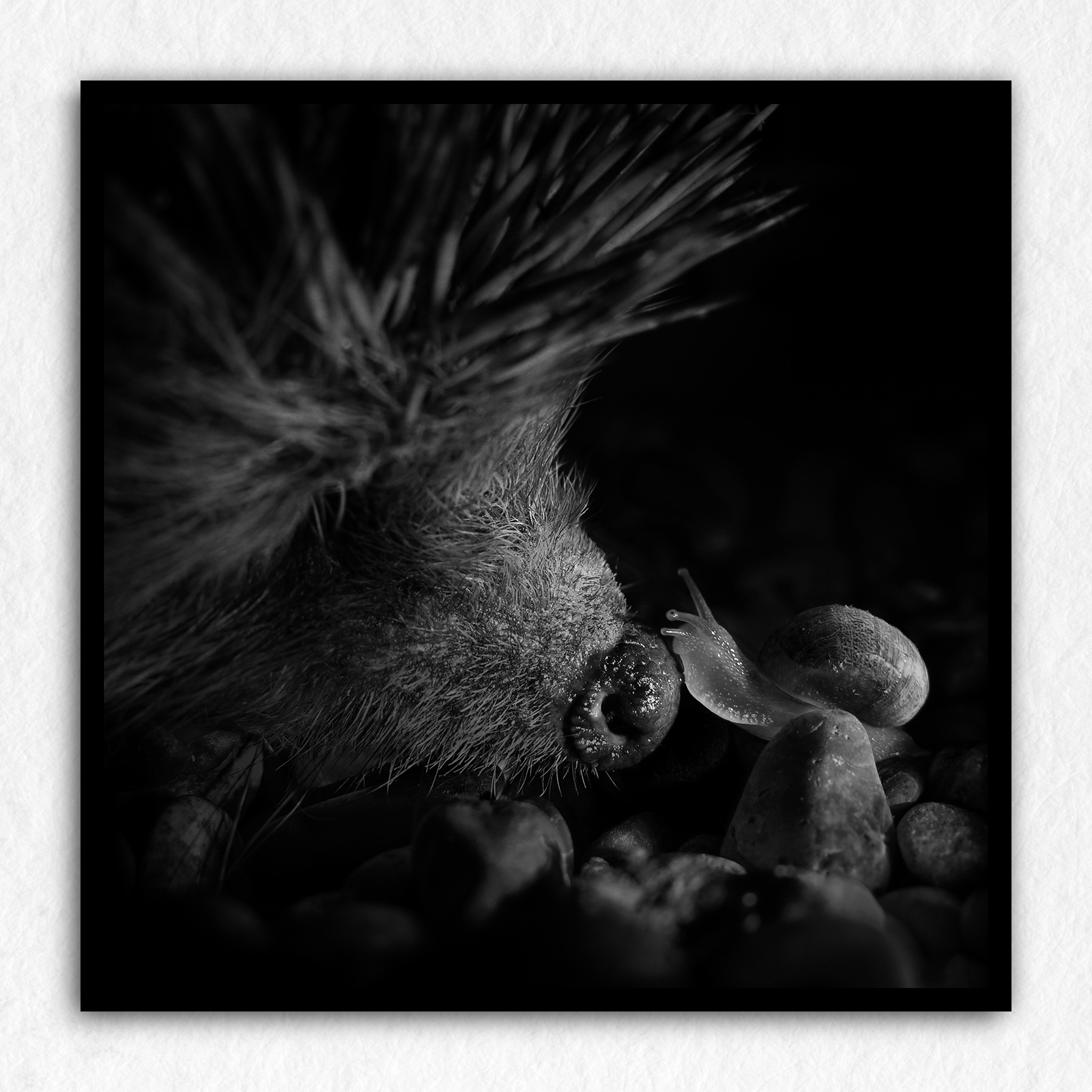 L'improbable baiser baveux - Impression à la demande