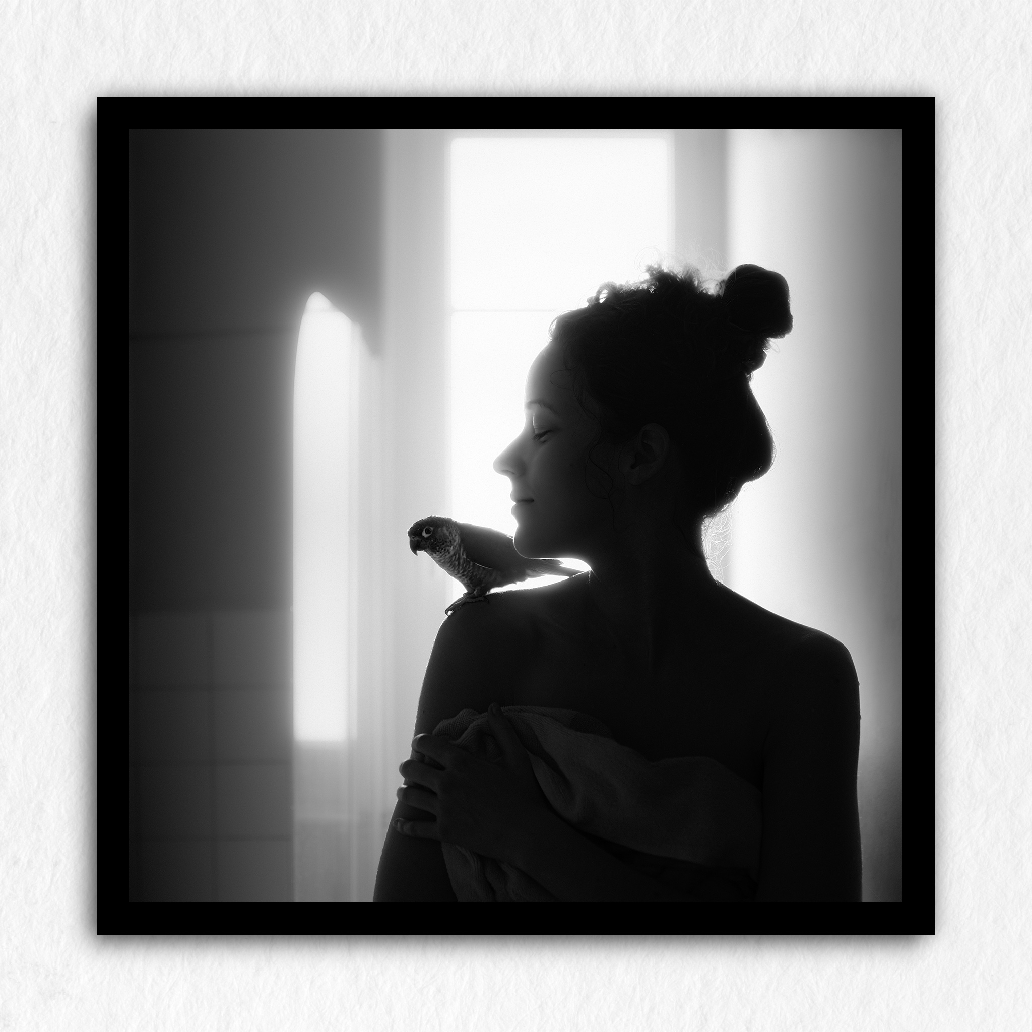 A Parrot - Impression à la demande