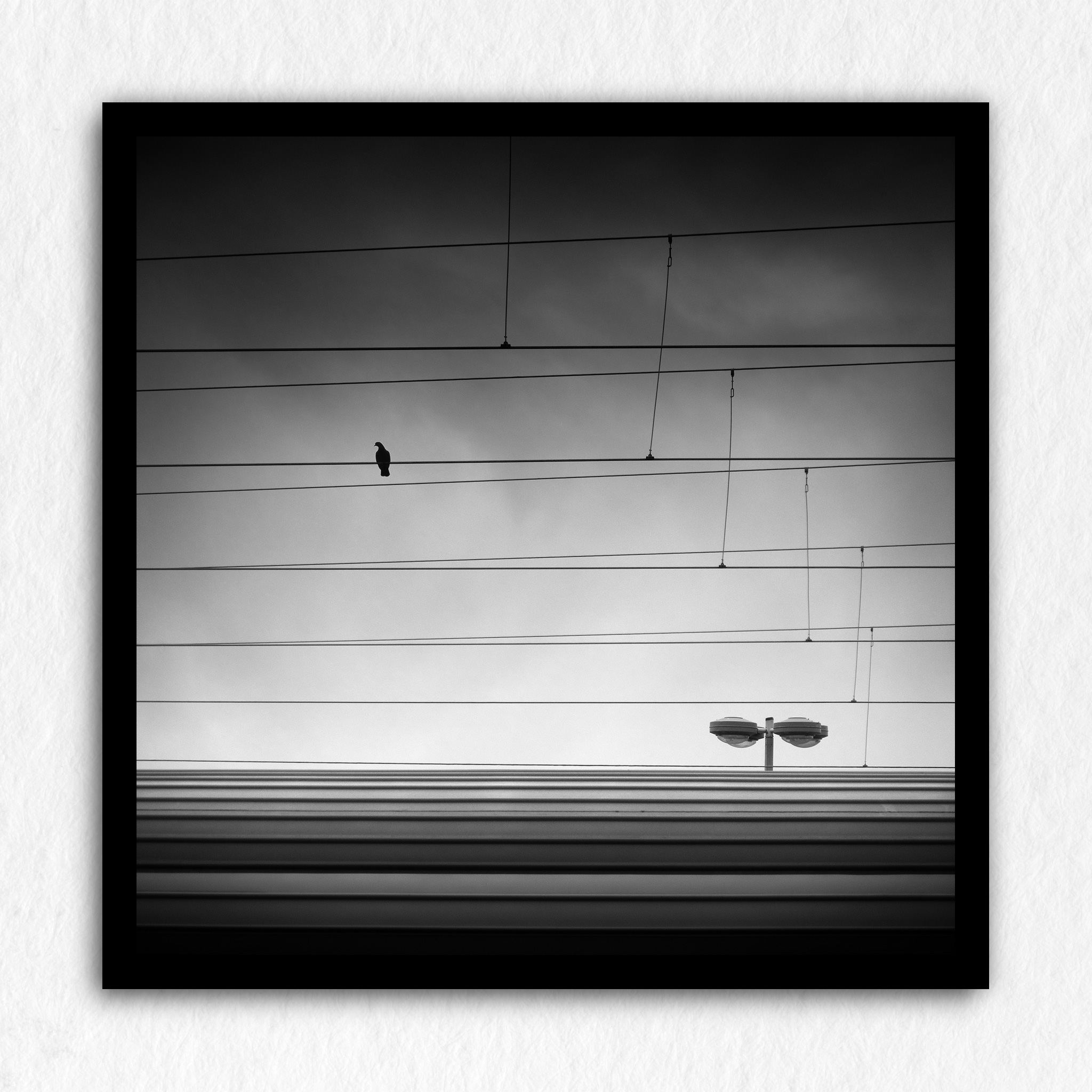 La cage - Impression à la demande