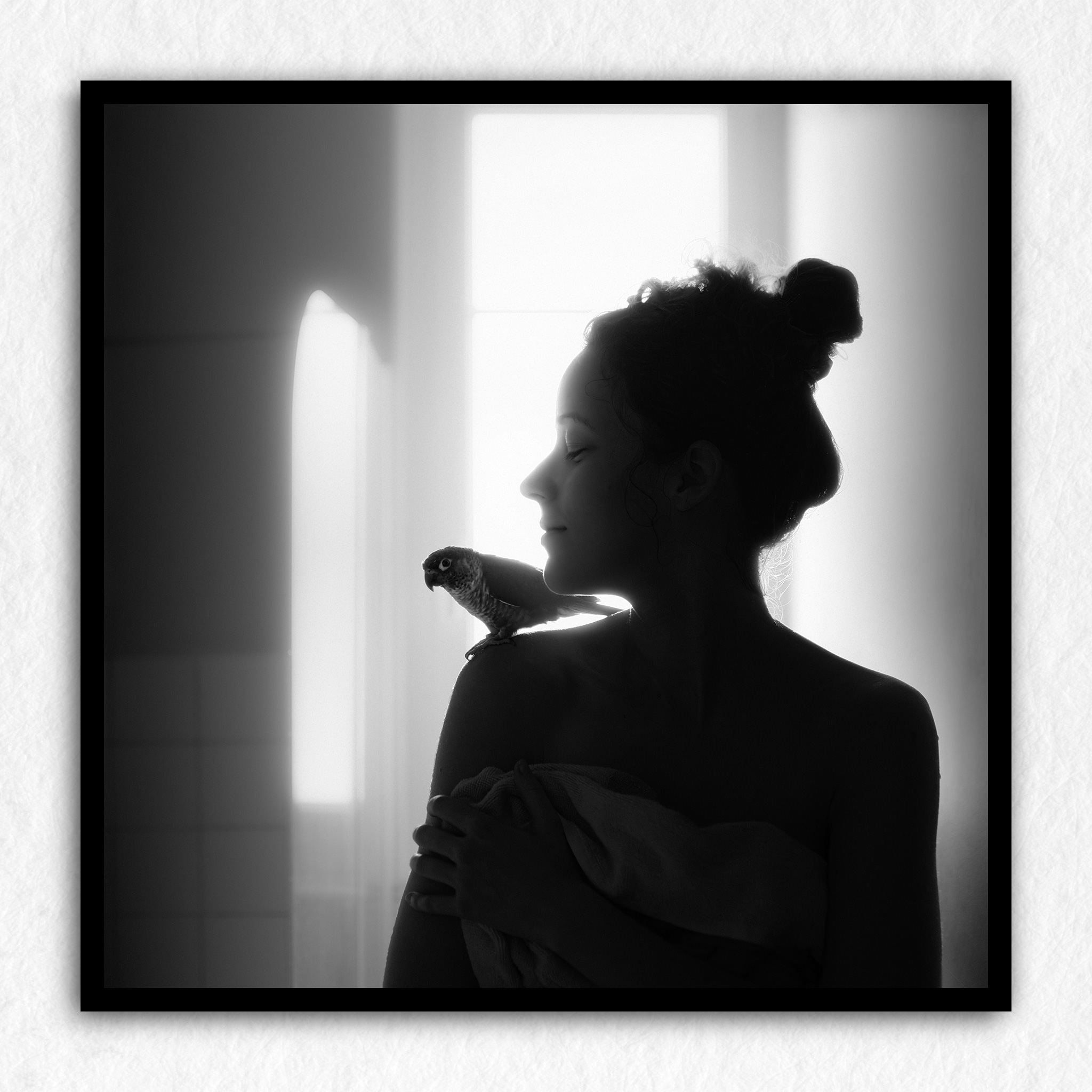 A Parrot - Impression à la demande