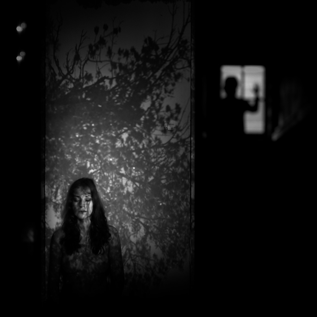 Les volets troués - Impression à la demande