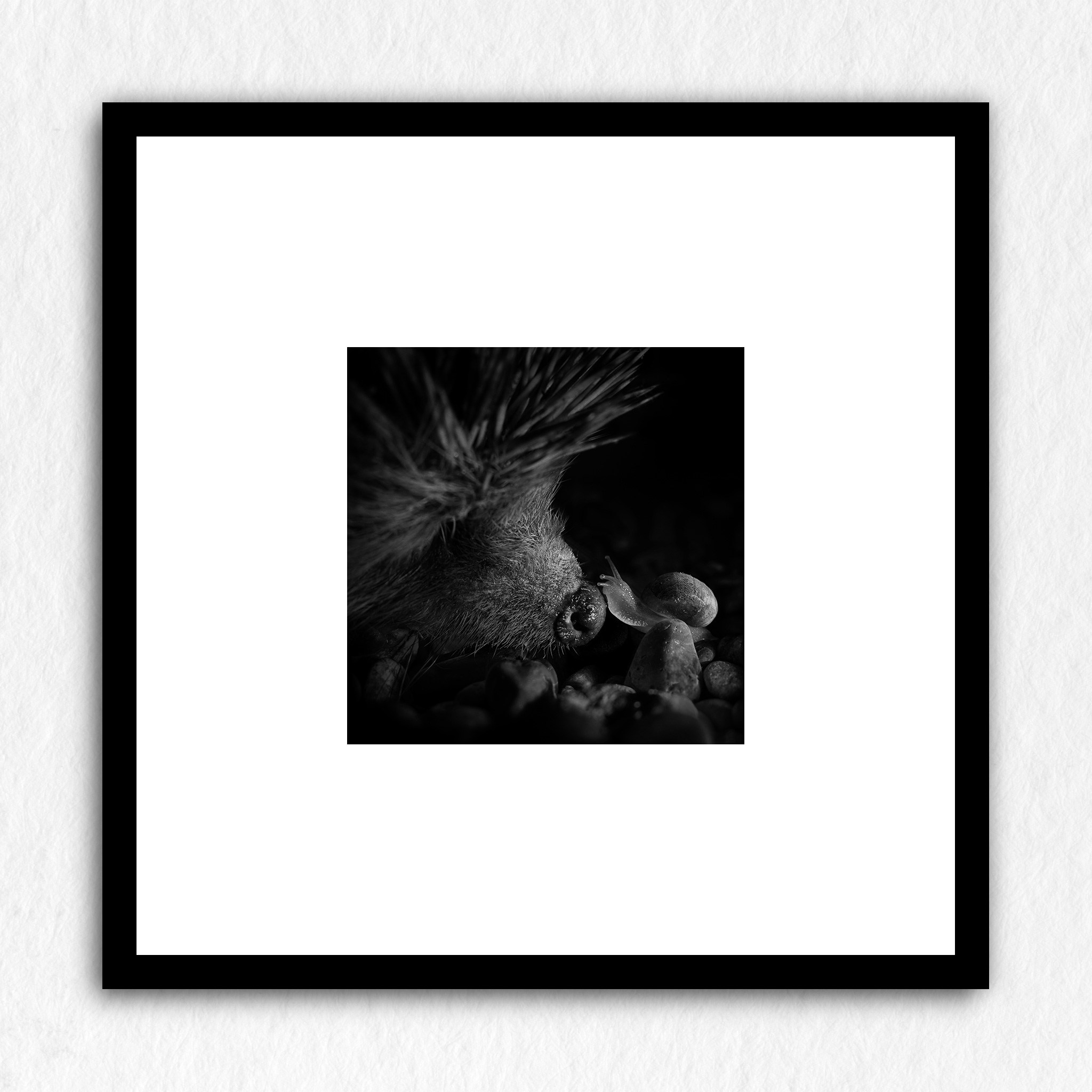 L'improbable baiser baveux - Impression à la demande