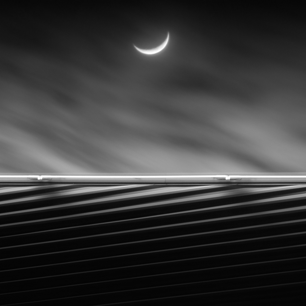 Le vent - Impression à la demande