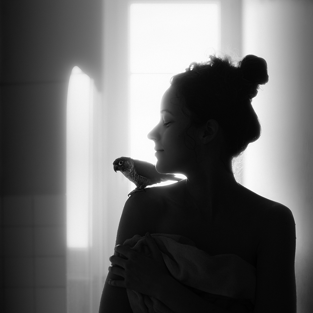 A Parrot - Impression à la demande