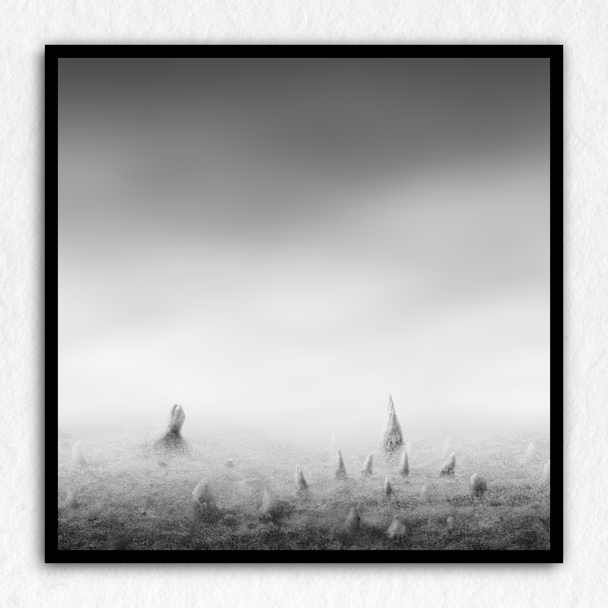 Nausicaä Memories 02 - Impression à la demande