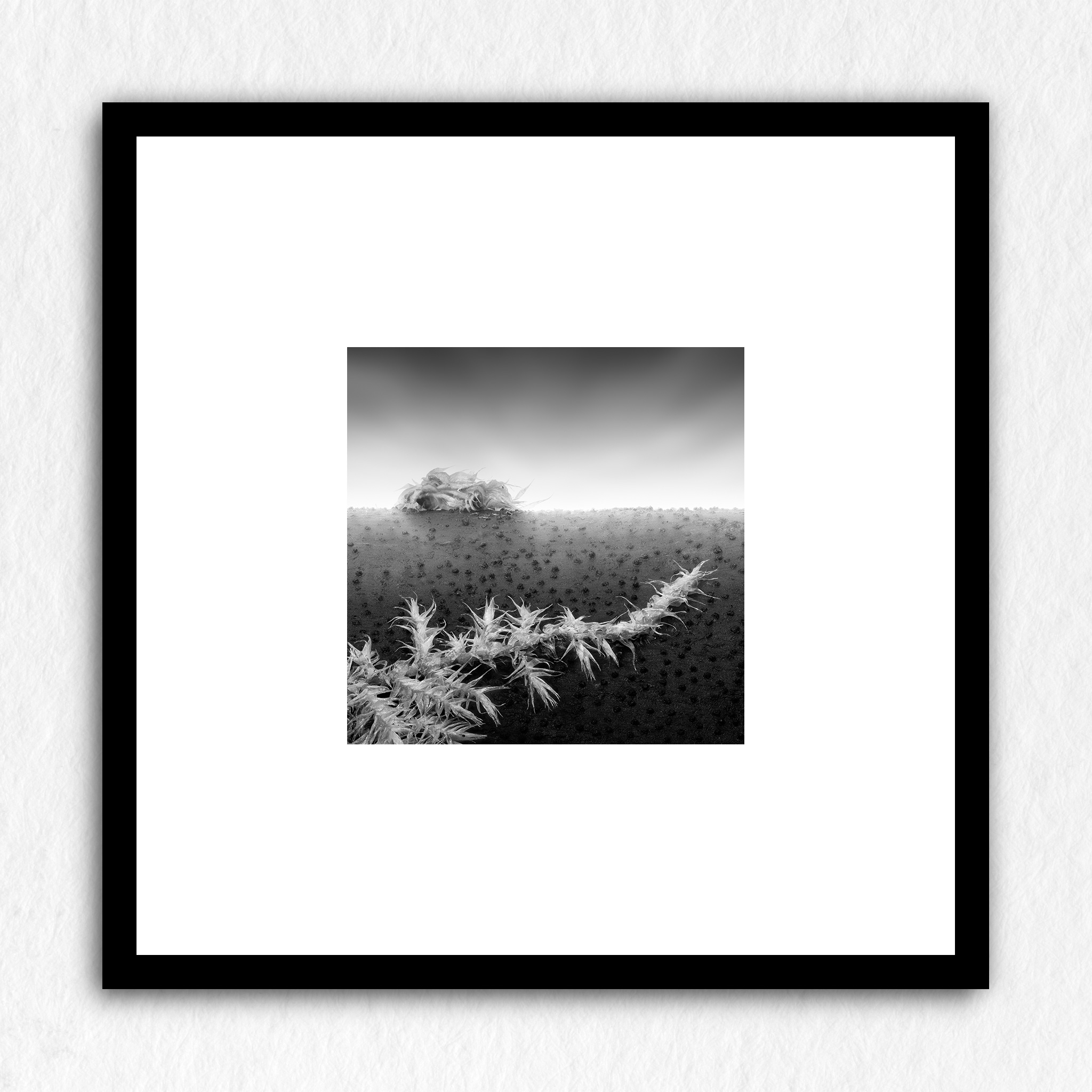 Nausicaä Memories 03 - Impression à la demande