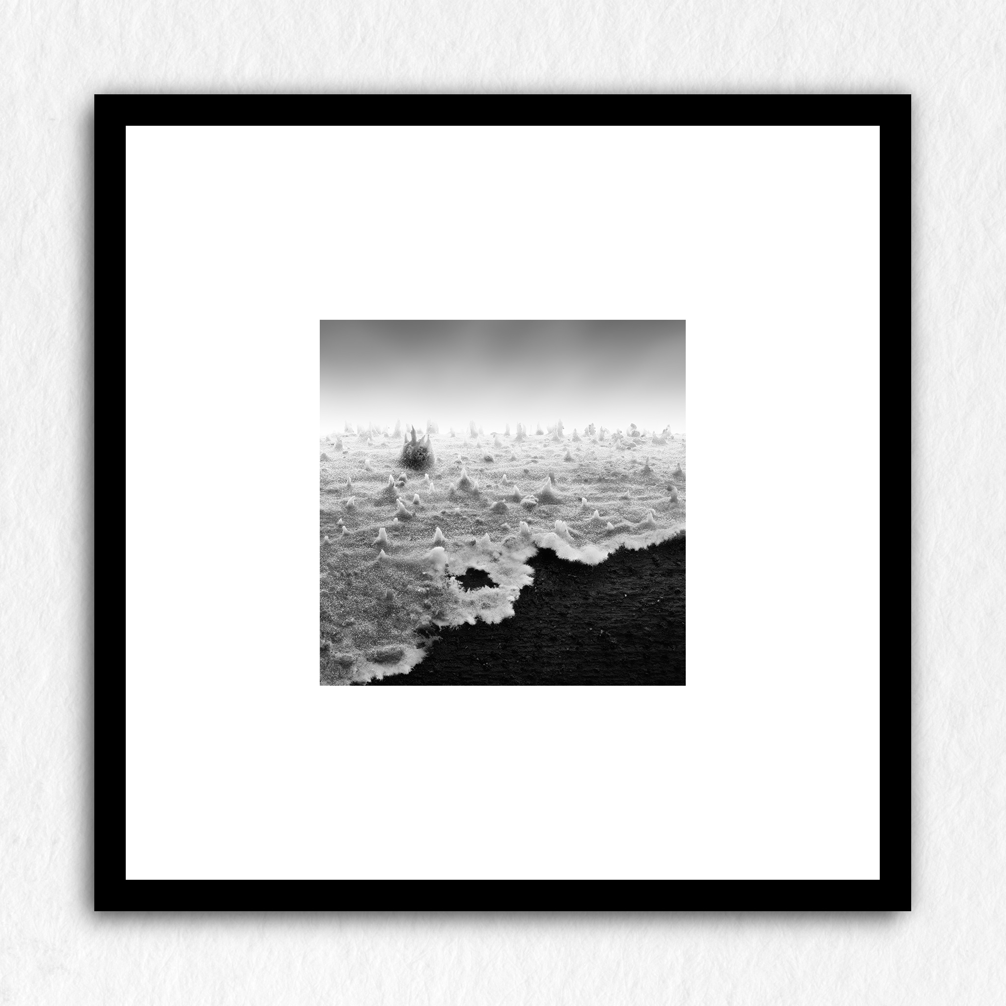 Nausicaä Memories 01 - Impression à la demande