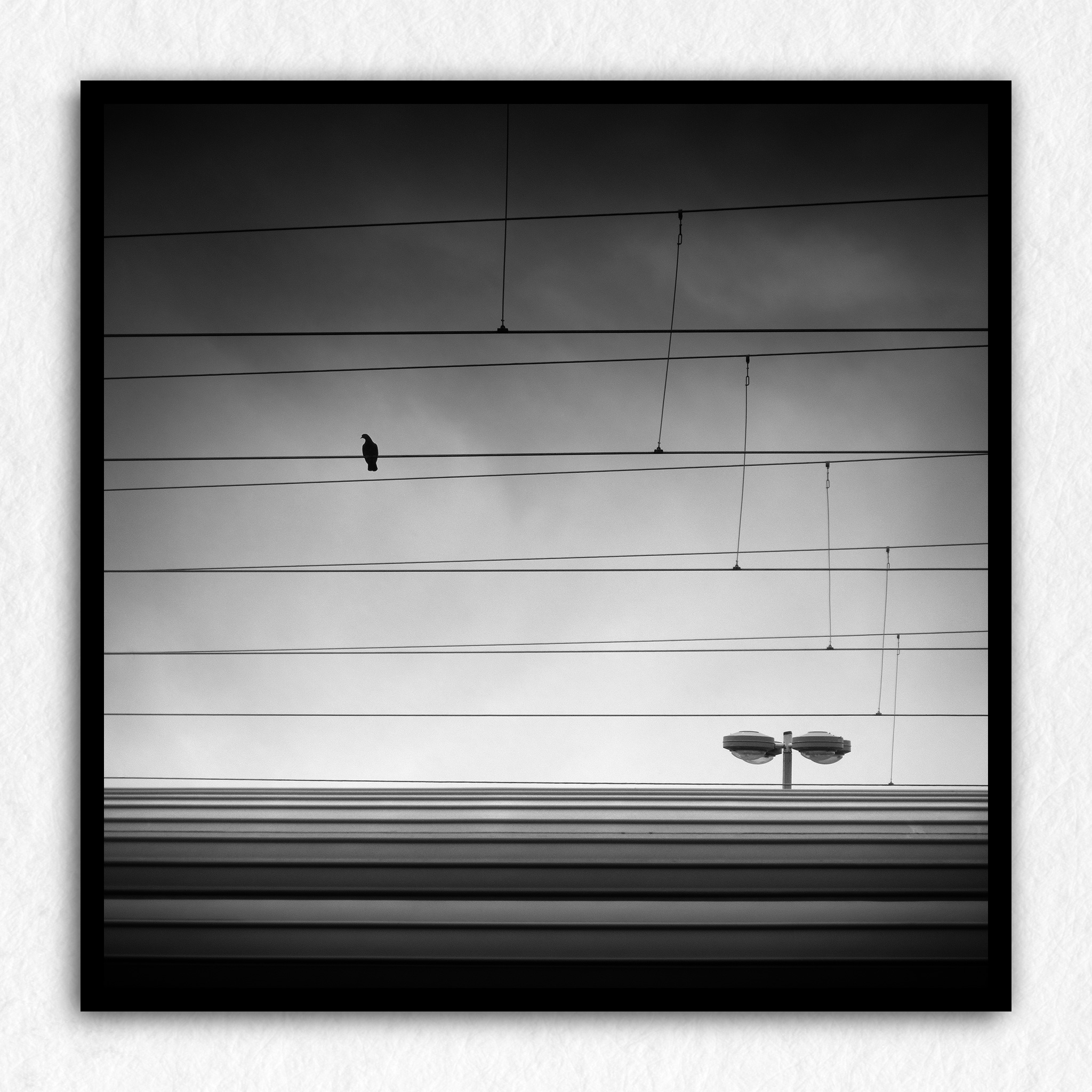 La cage - Impression à la demande