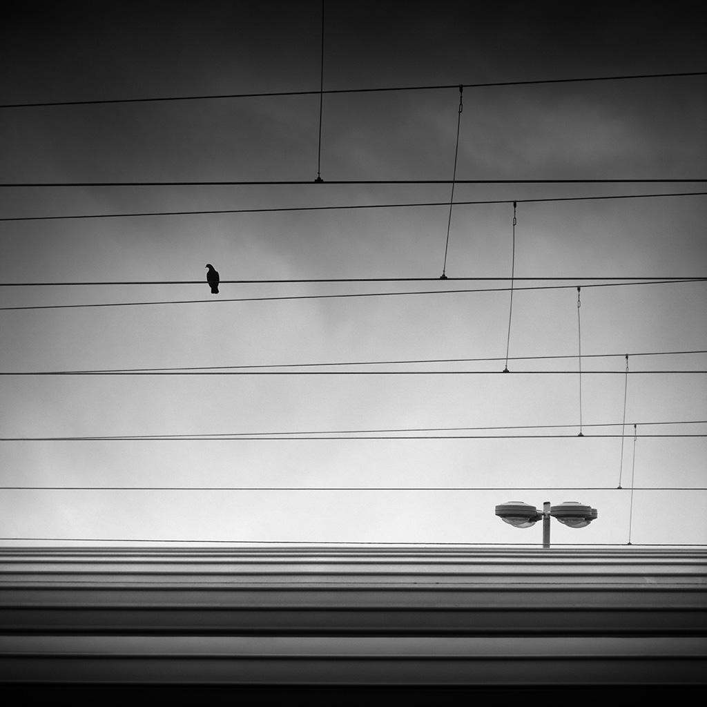 La cage - Impression à la demande