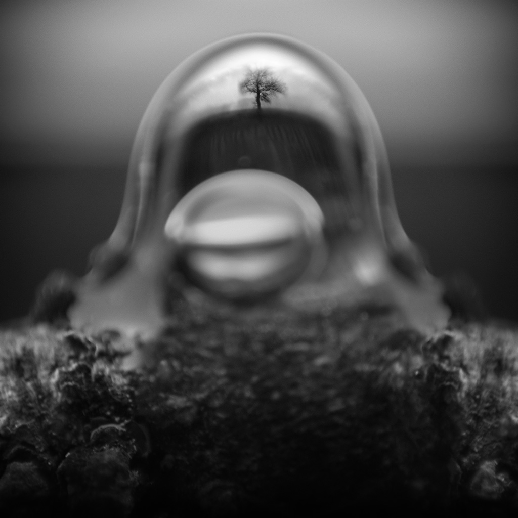 L'arbre à l'envers - Impression à la demande