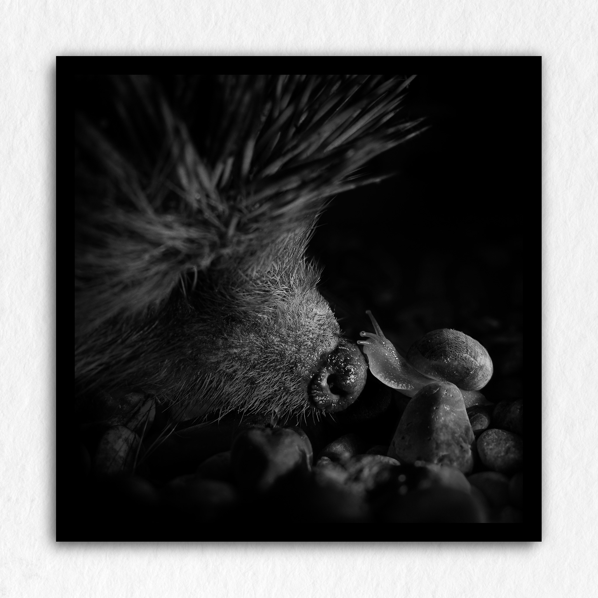 L'improbable baiser baveux - Impression à la demande