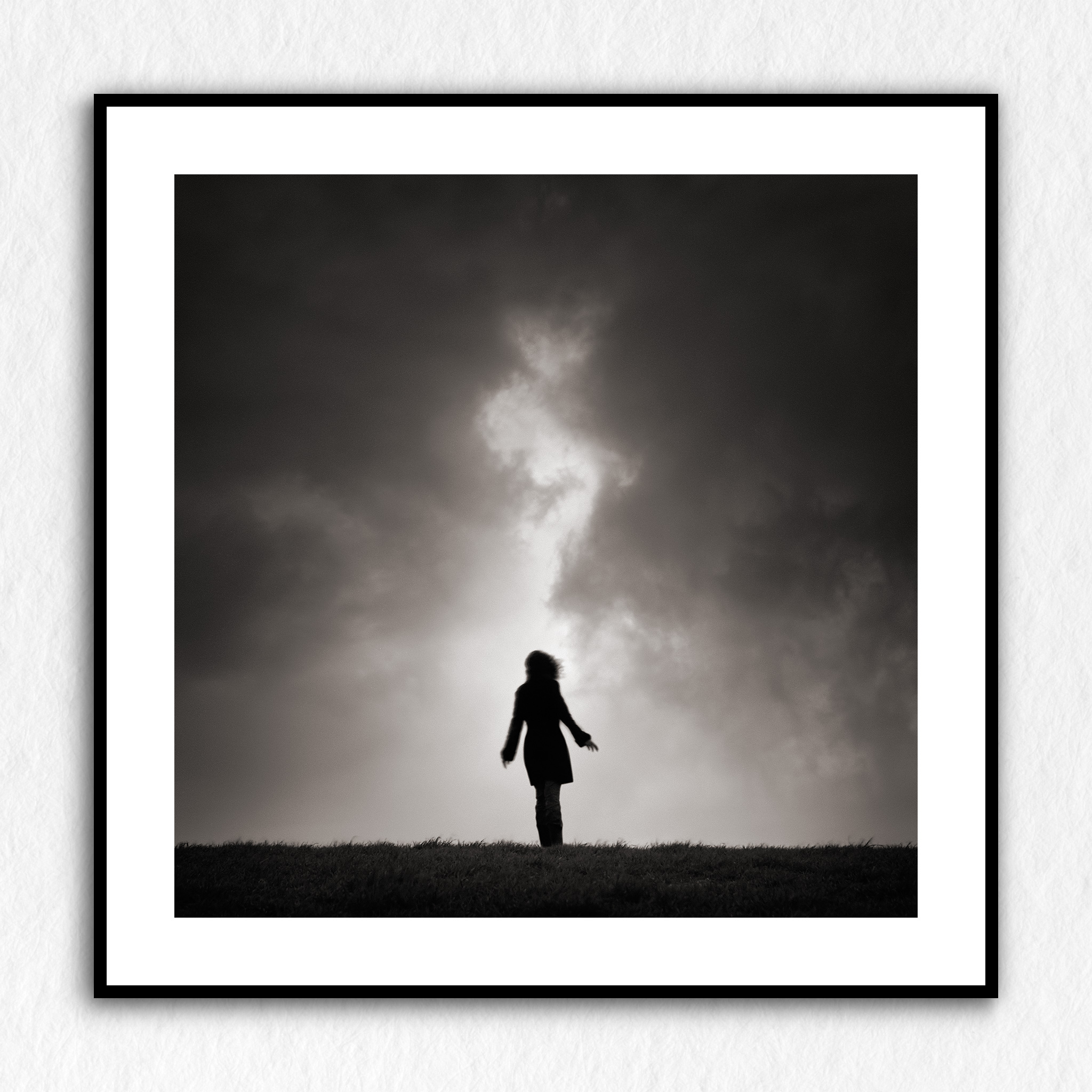 Tirage d'exposition - L'envol