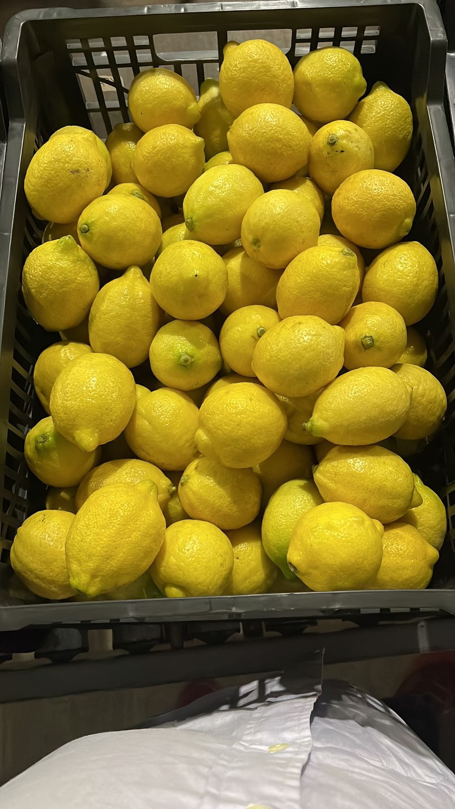 Fresh Sicilian Lemons from Latin America