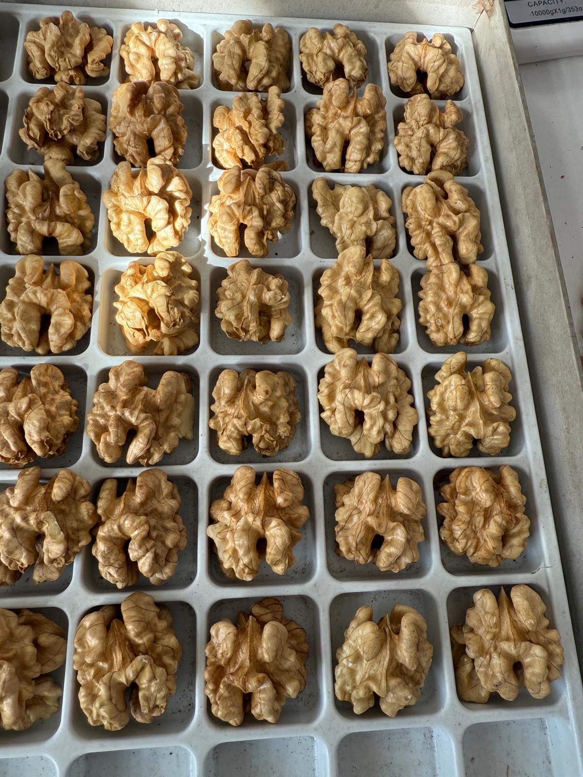 South America Nuts: Walnuts, Almonds & Beyond